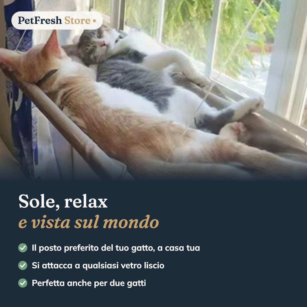 Amaca da Finestra per Gatti – Ventose Extra Forti, Regge fino a 20 kg