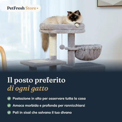 Gatto sull'albero tiragraffi