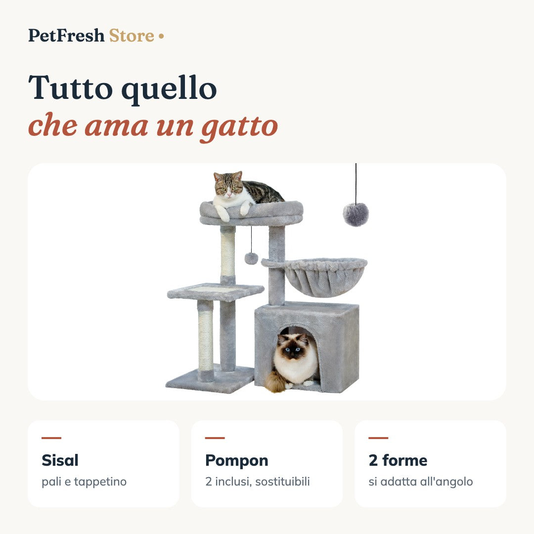 Tutto quello che ama un gatto