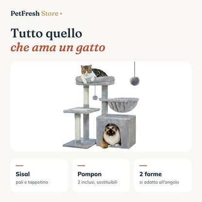 Tutto quello che ama un gatto