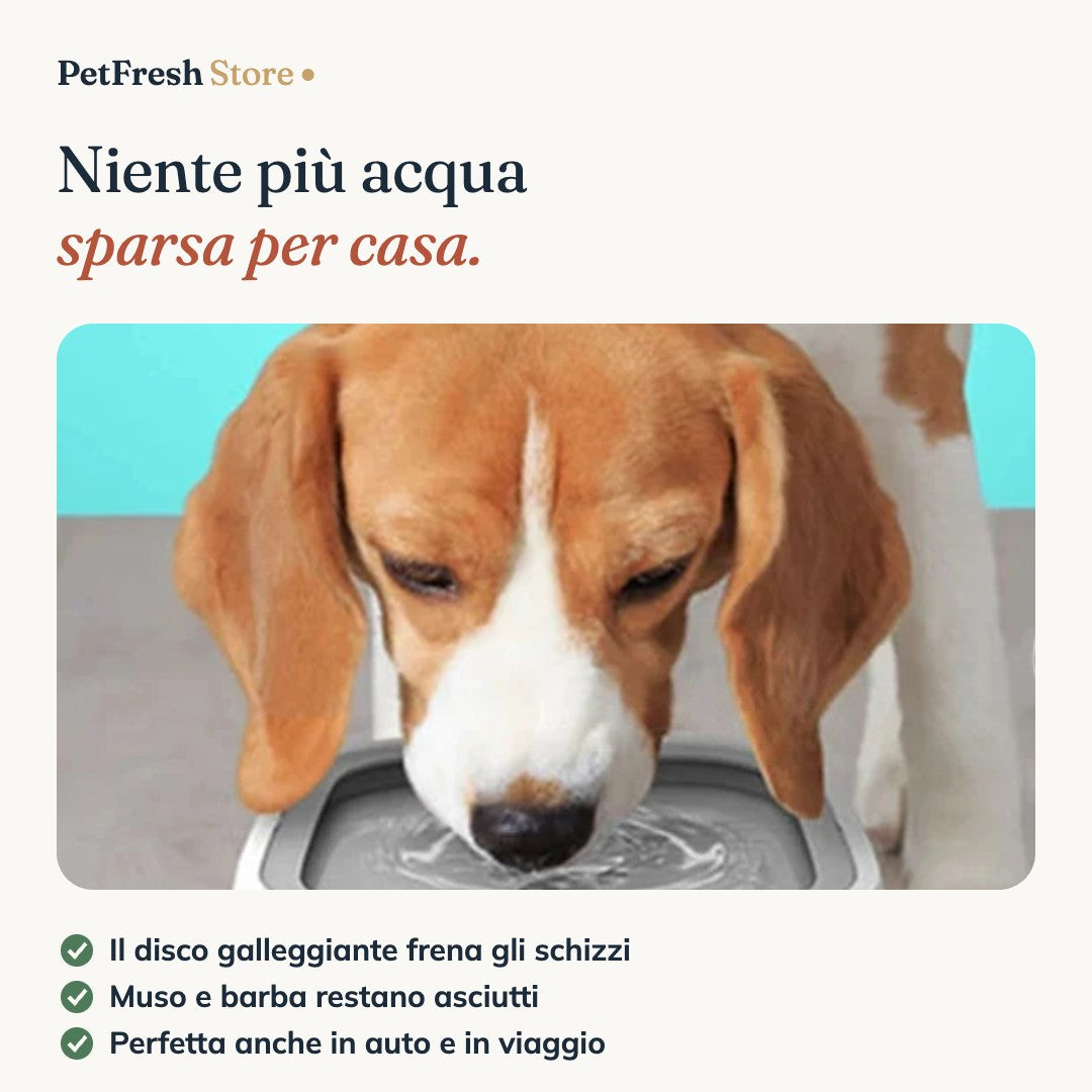 Cane che beve dalla ciotola anti-schizzo
