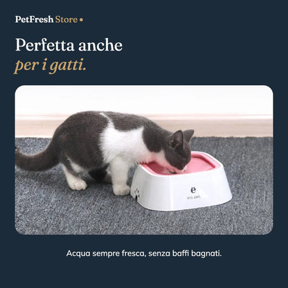 Gatto che beve dalla ciotola anti-schizzo