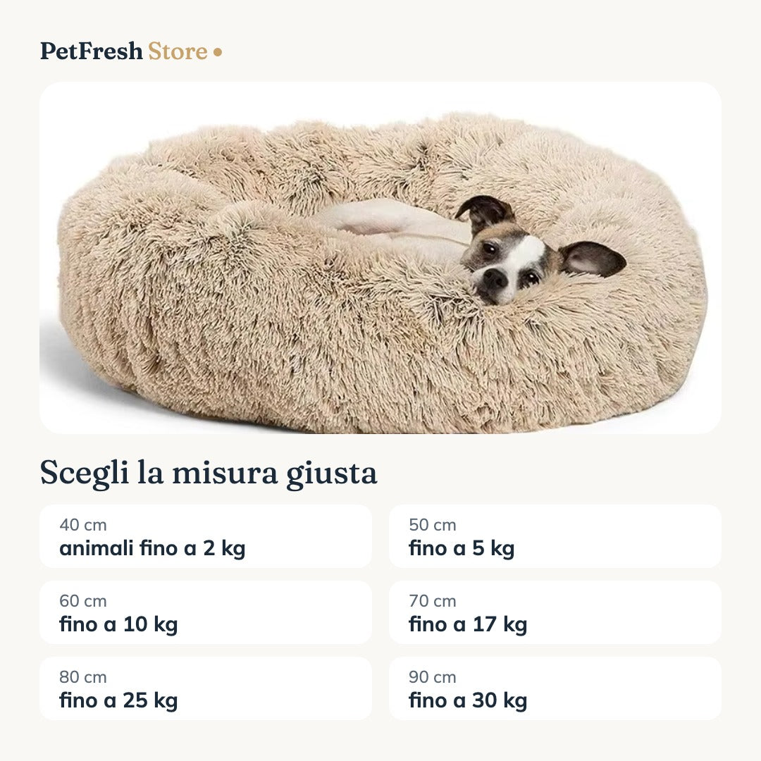 Guida alle misure