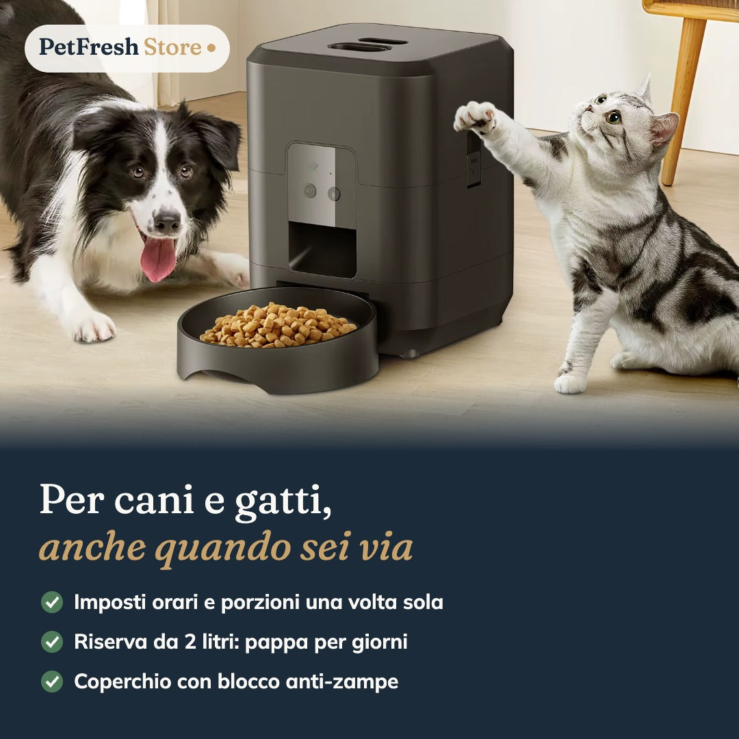Cane e gatto con il distributore automatico