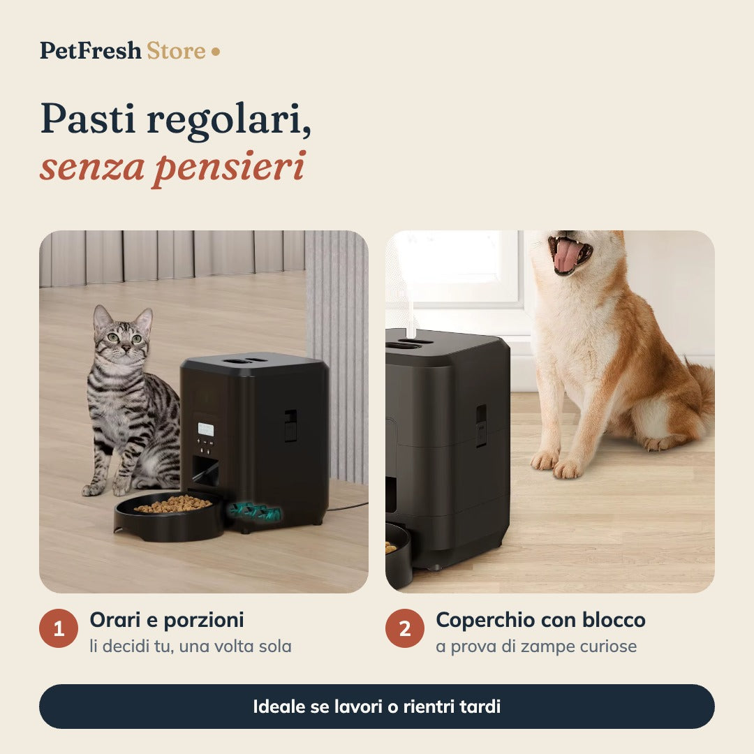 Pasti programmati e coperchio con blocco