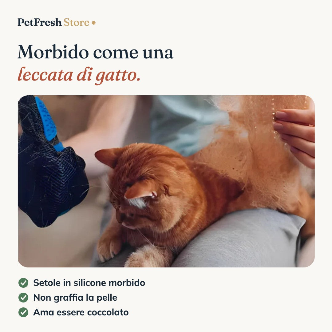 Setole morbide dei guanti su un gatto