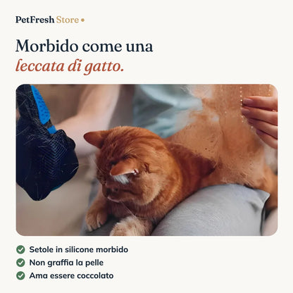 Setole morbide dei guanti su un gatto