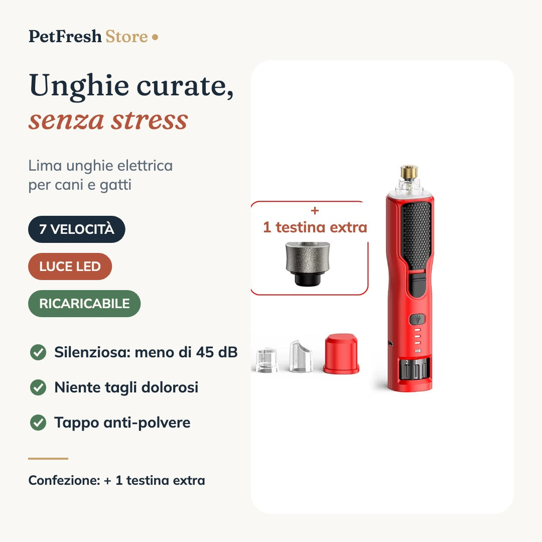 Lima unghie con 1 testina extra