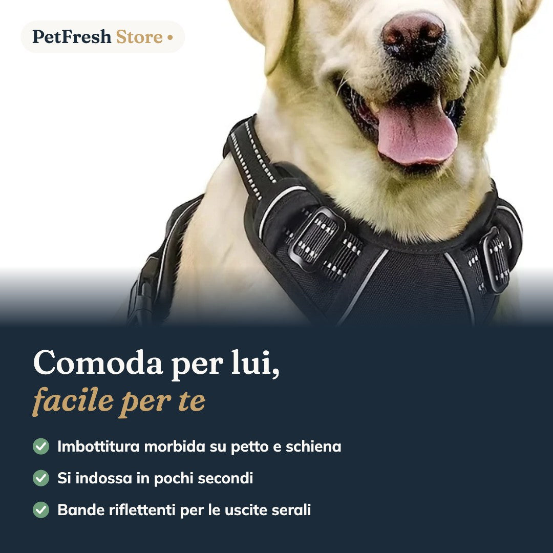 Pettorina Anti-Trazione Riflettente per Cani – Imbottita, con Maniglia e Clip Frontale
