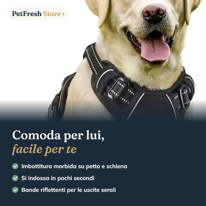 Cane con pettorina imbottita