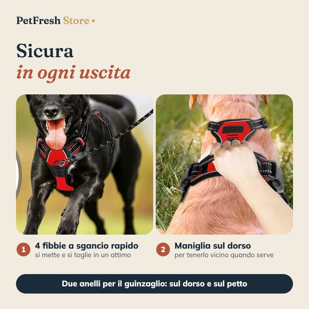 Fibbie a sgancio rapido e maniglia