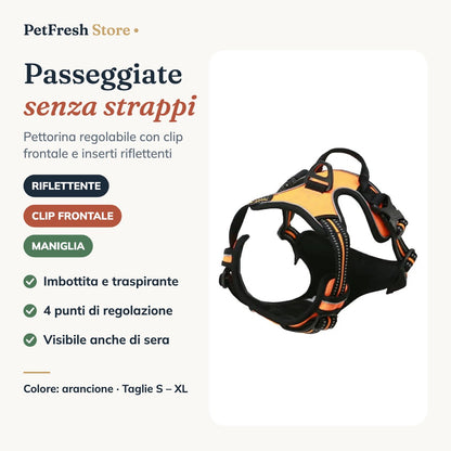 Pettorina arancione