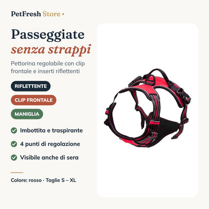 Pettorina rossa