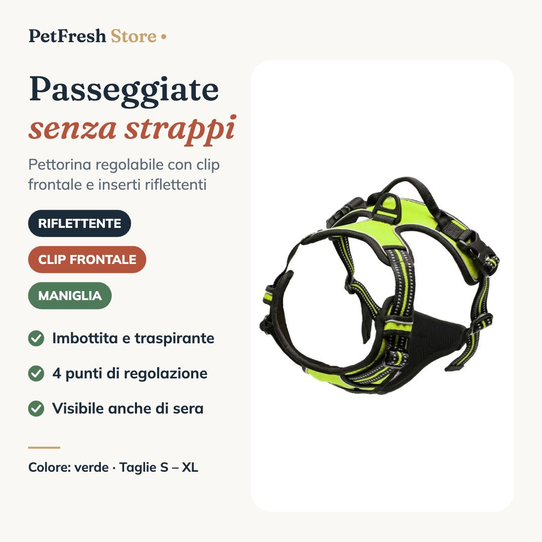 Pettorina verde