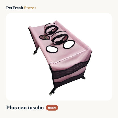 Plus rosa