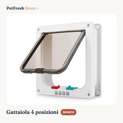 Gattaiola bianca