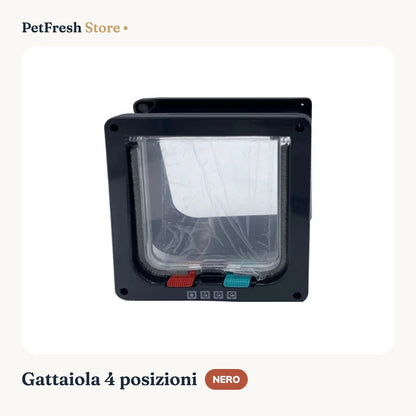 Gattaiola nera