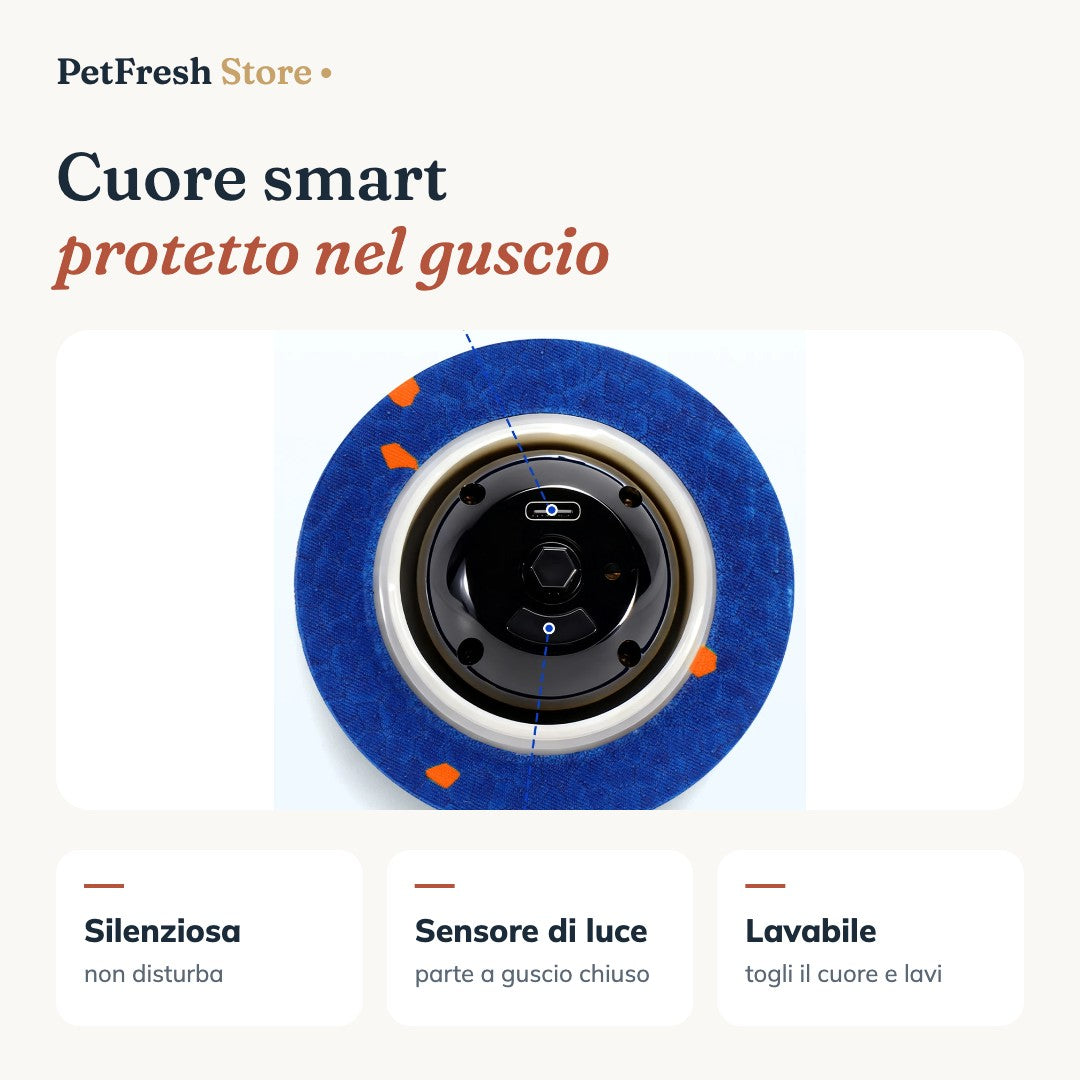 Cuore smart nel guscio