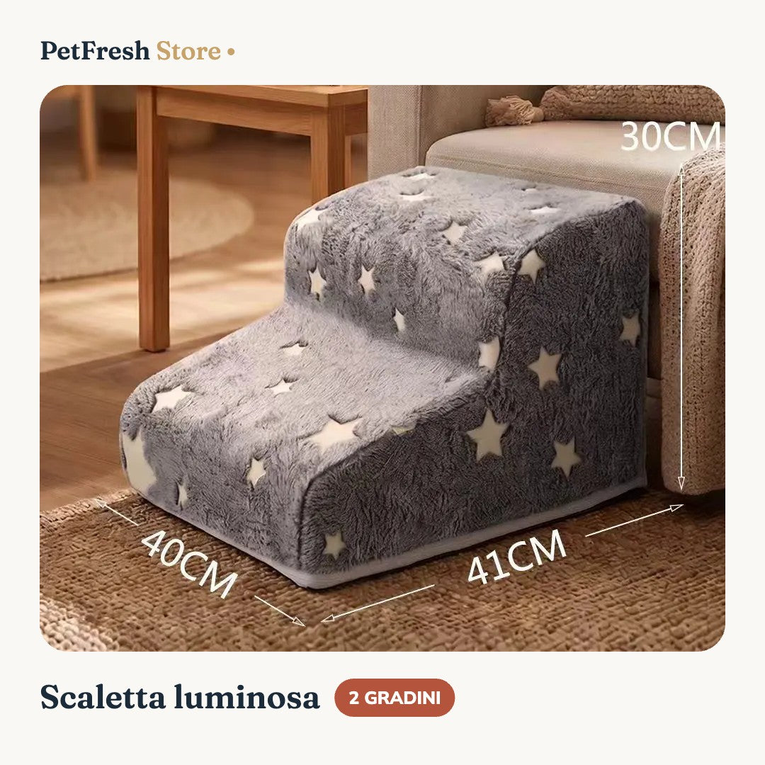 Scaletta 2 gradini
