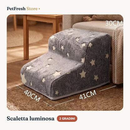 Scaletta 2 gradini