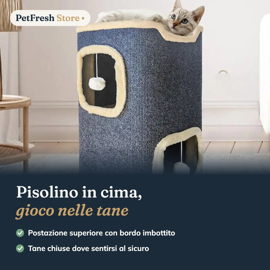 Gatto sulla torre in salotto