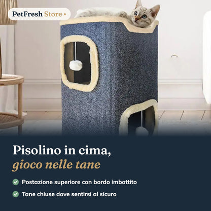 Gatto sulla torre in salotto