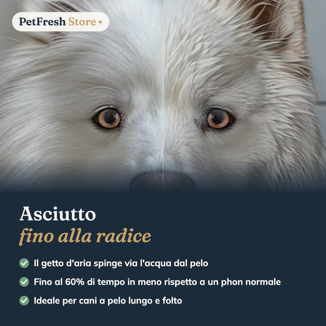 Pelo asciutto fino alla radice