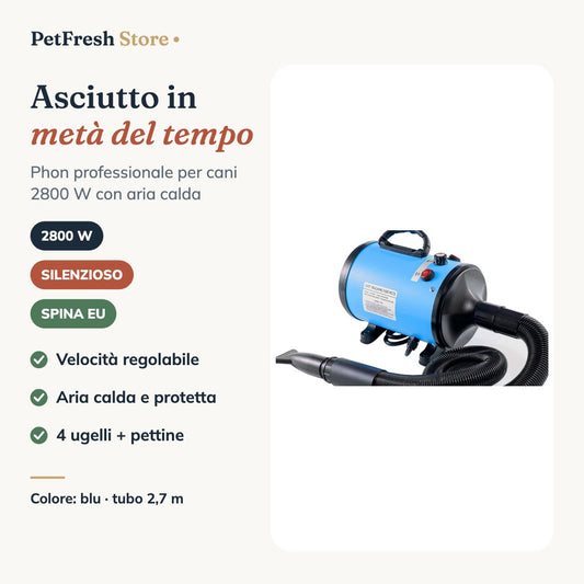 Phon professionale per cani PetFresh blu