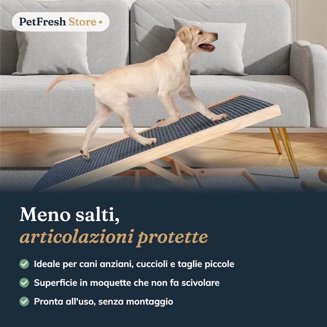 Cane che sale sul divano con la rampa