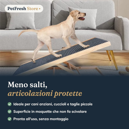 Cane che sale sul divano con la rampa