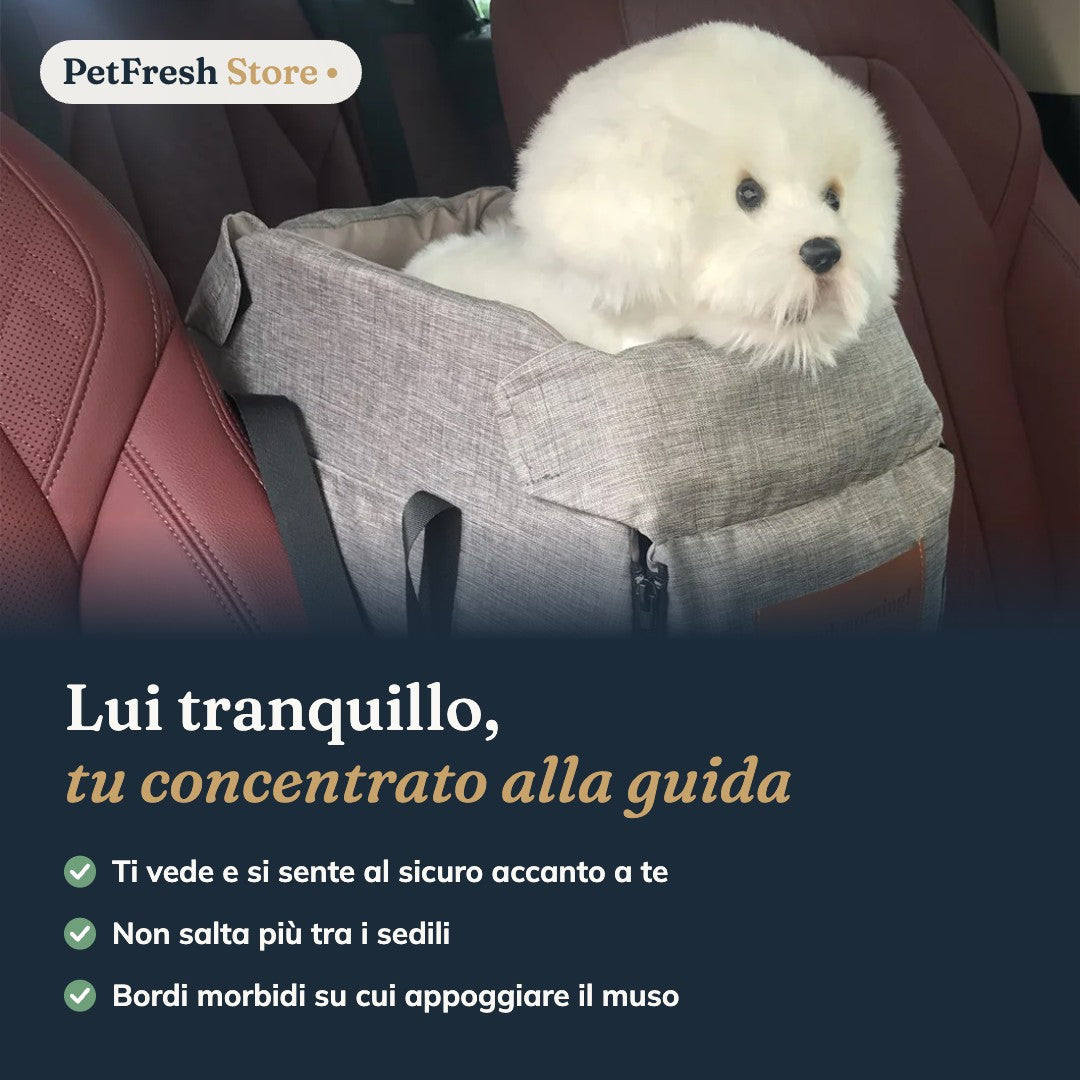 Cane nel seggiolino in auto