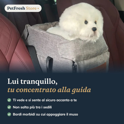 Cane nel seggiolino in auto