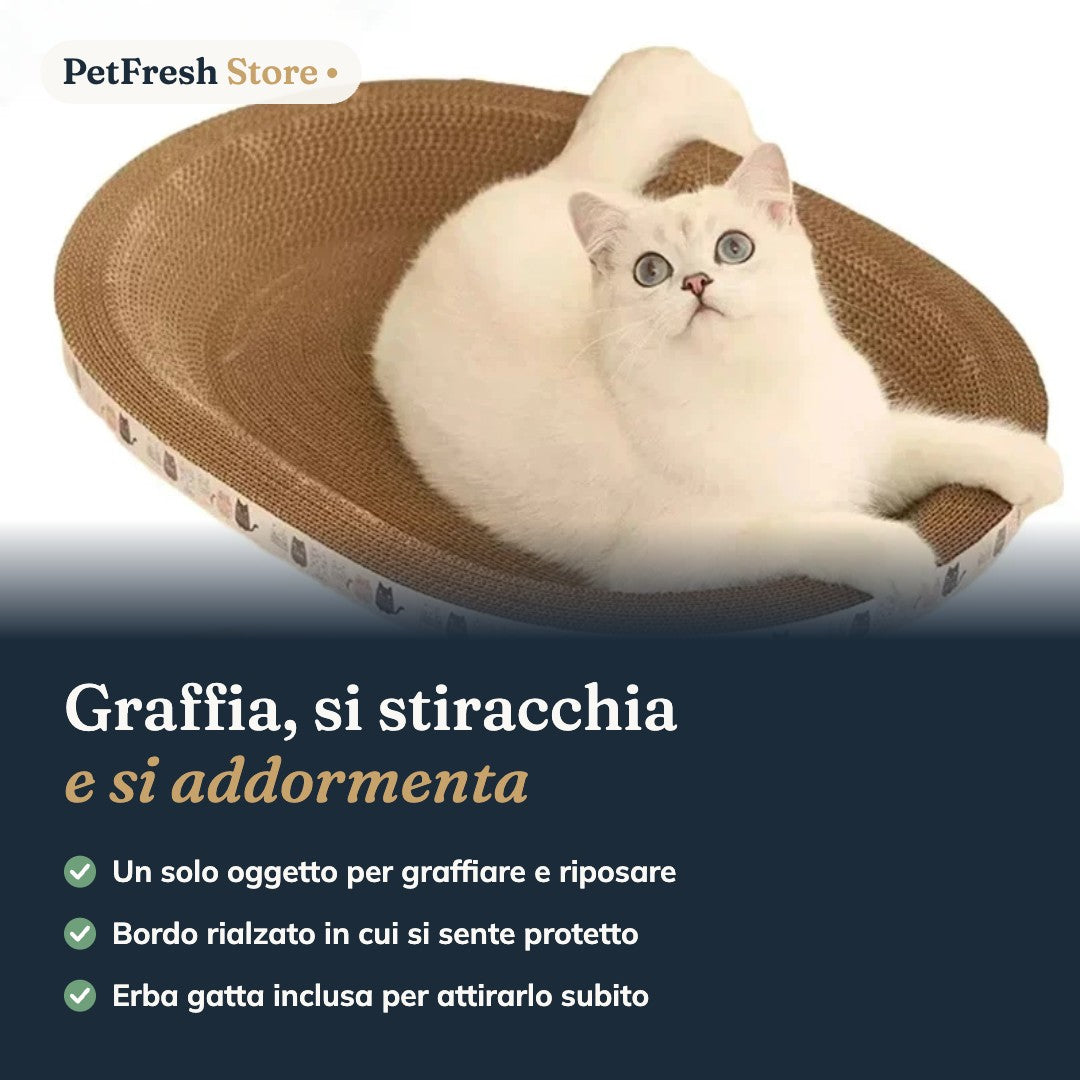 Tiragraffi a Cuccia in Cartone con Erba Gatta – Graffia, Gioca e Dorme