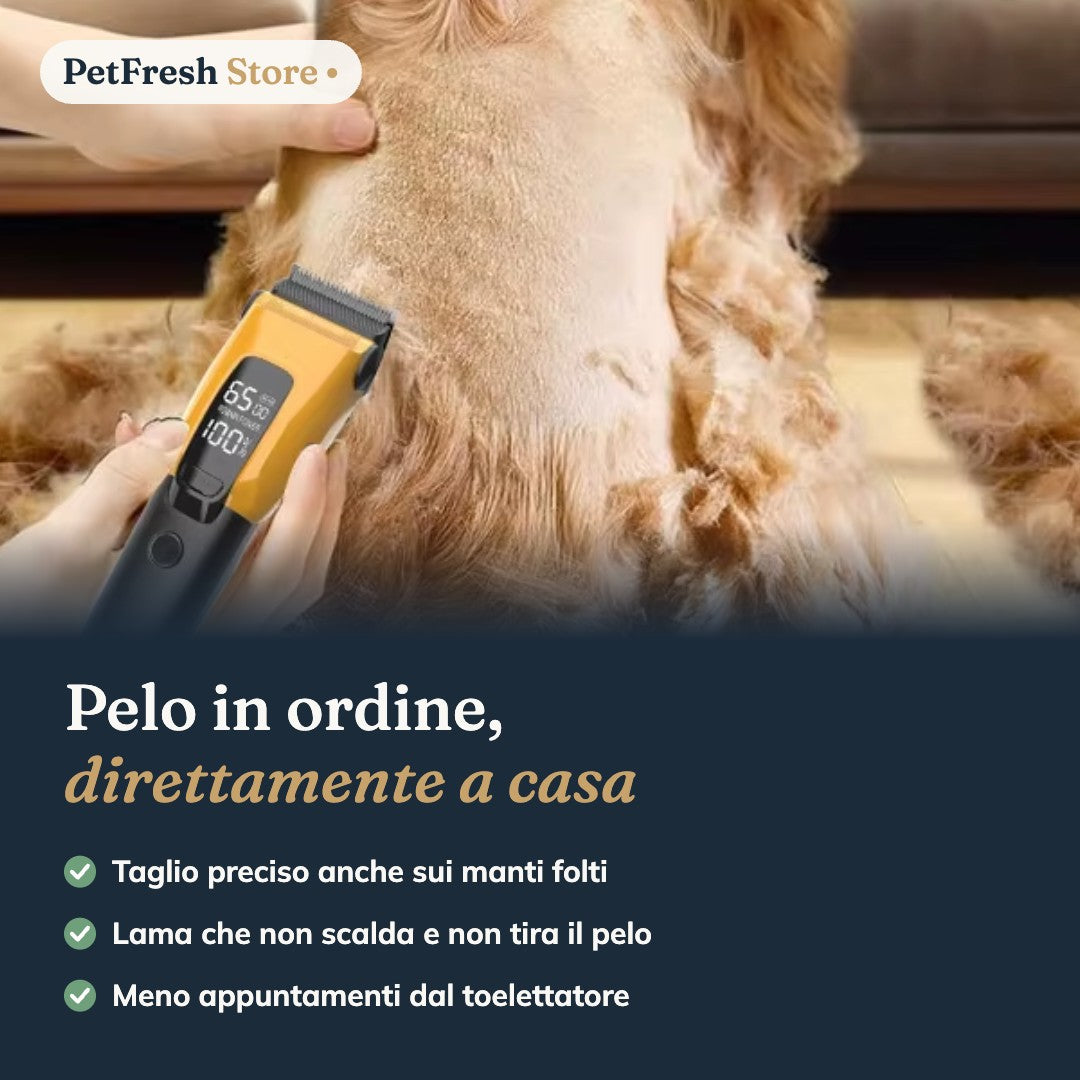 Toelettatura del cane a casa
