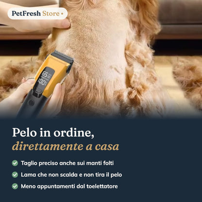 Toelettatura del cane a casa