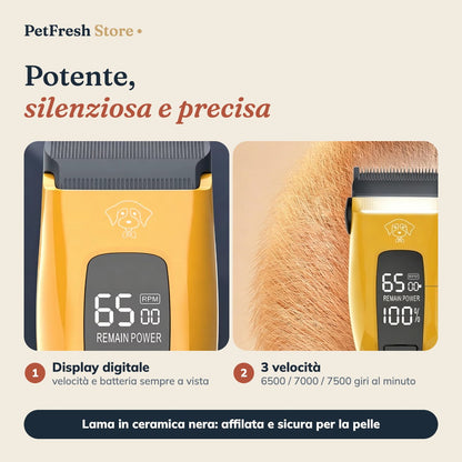 Display e 3 velocità