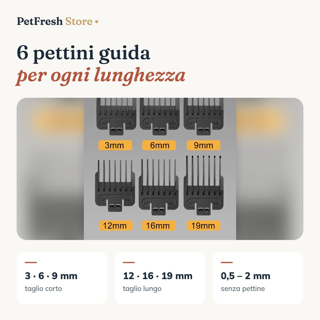 6 pettini guida