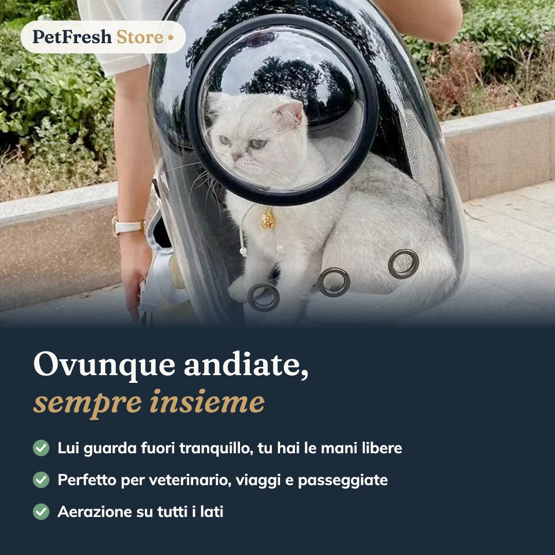 Gatto nello zaino a capsula in passeggiata