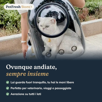 Gatto nello zaino a capsula in passeggiata